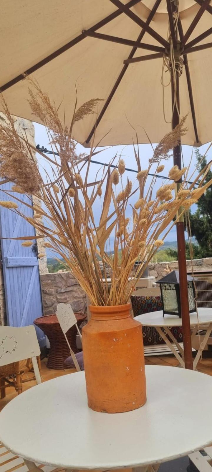 Maison Curieuse Vaison-la-Romaine Rom bilde
